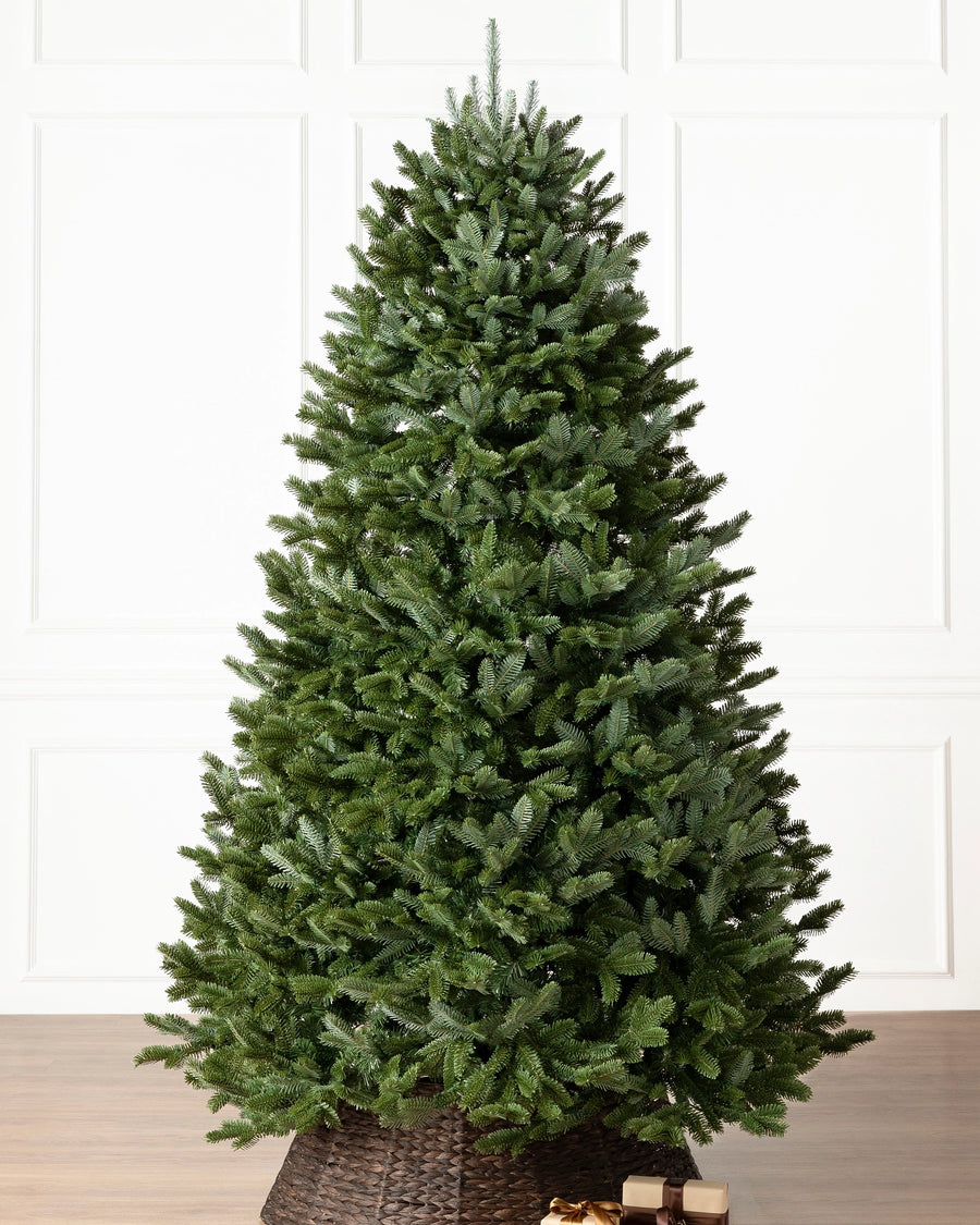 Árvore de Natal Abeto Fraser Imperial