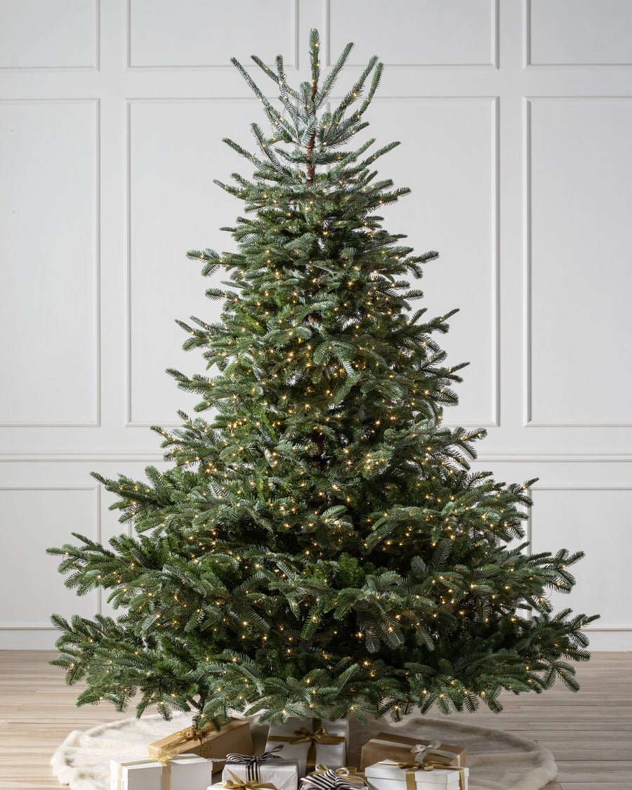 Árvore de Natal Abeto Europeu