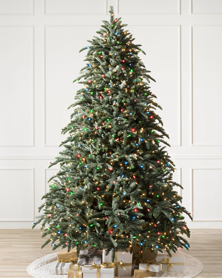 Árvore de Natal Abeto Nobre