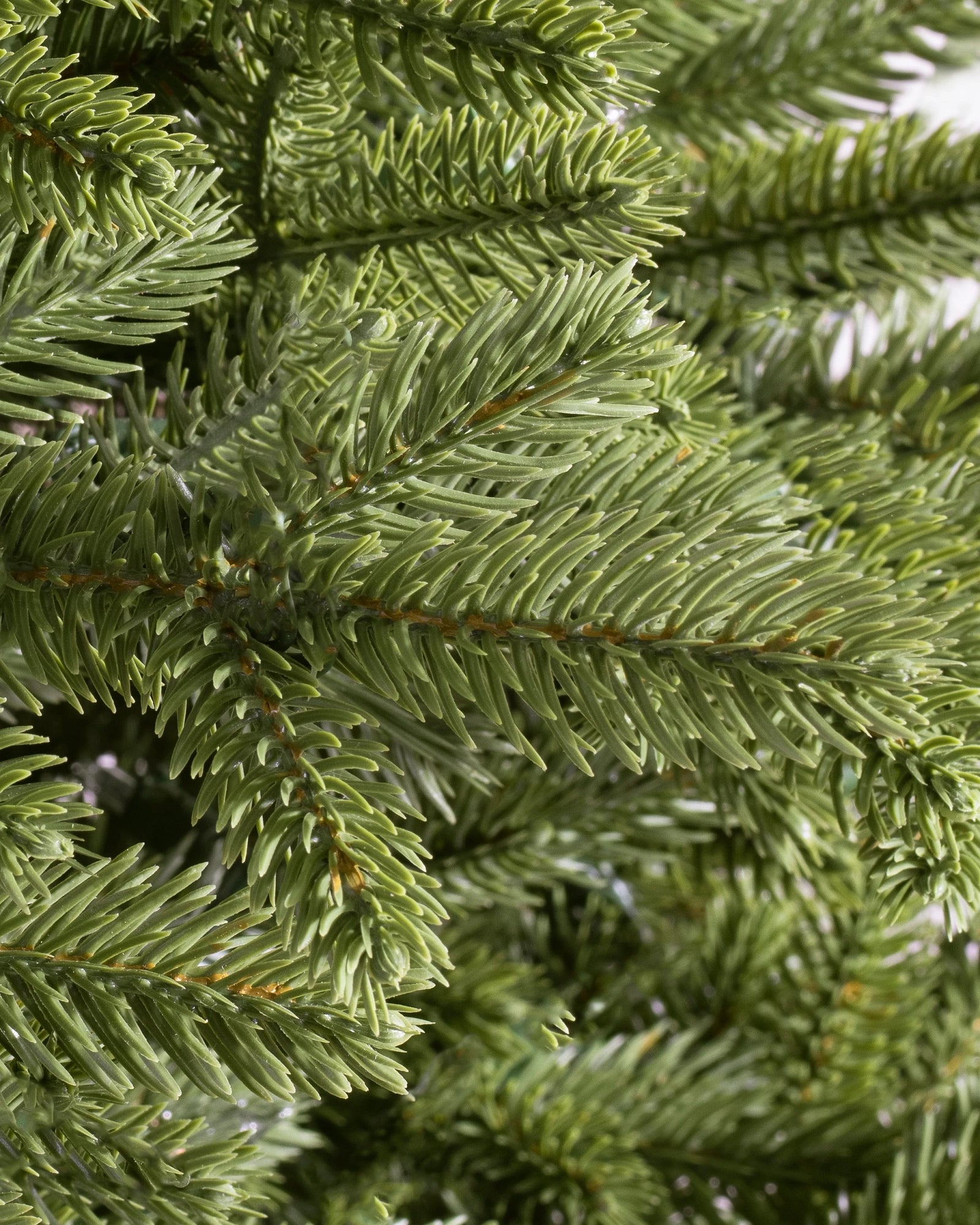Árvore de Natal Pinheiro Norueguês — Ambiente decorado